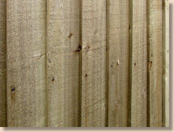 Tanalised featheredge