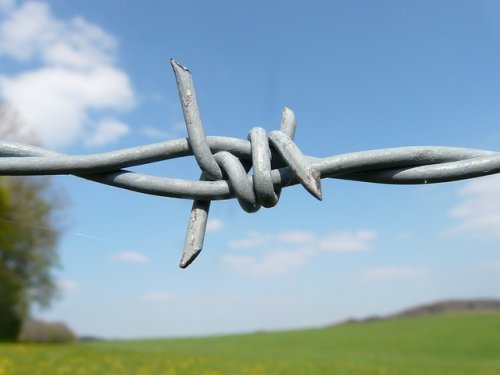 Barbed Wire